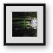 Buy Framed Print