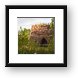 The ruins of an old iron furnace (Bay Furnace Campground) Framed Print