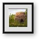 Buy Framed Print