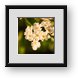 Buy Framed Print
