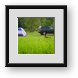 Buy Framed Print