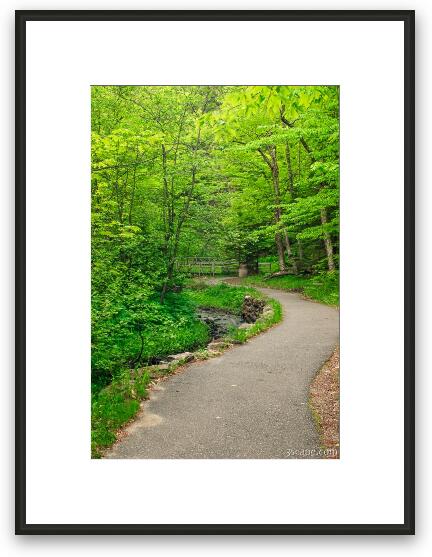 Trail to Munising Falls Framed Fine Art Print