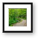 Trail to Munising Falls Framed Print