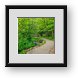 Buy Framed Print