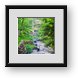 Buy Framed Print