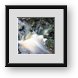 Buy Framed Print