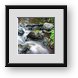 Buy Framed Print