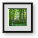 Buy Framed Print