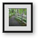 Buy Framed Print