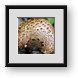 Buy Framed Print