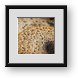 Buy Framed Print