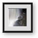 Buy Framed Print