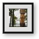 Buy Framed Print