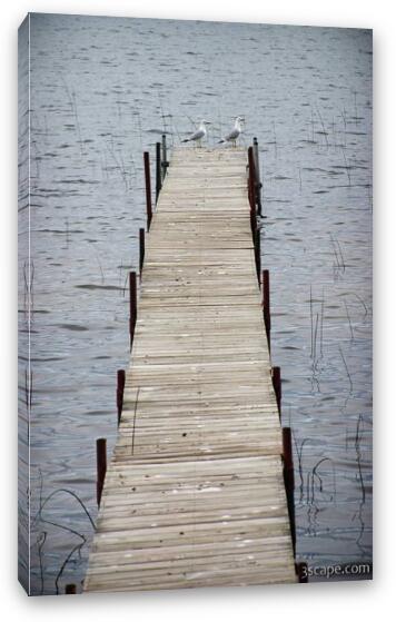 Private dock with seagulls Fine Art Canvas Print