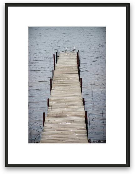Private dock with seagulls Framed Fine Art Print