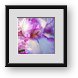 Buy Framed Print