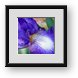 Buy Framed Print