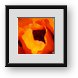 Buy Framed Print