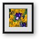 Buy Framed Print