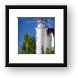 Point Betsie Lighthouse Michigan Framed Print