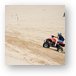 Quad ATV riding in dunes Metal Print