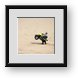 Buy Framed Print