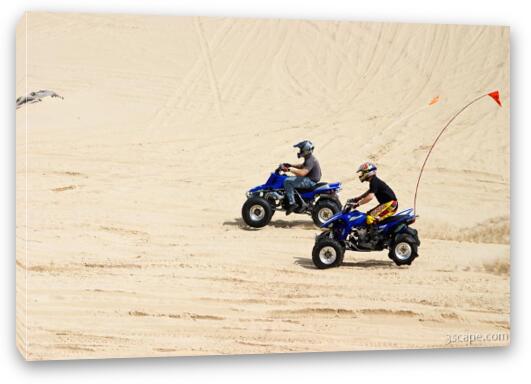 Quads riding in dunes Fine Art Canvas Print