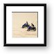 Quads riding in dunes Framed Print