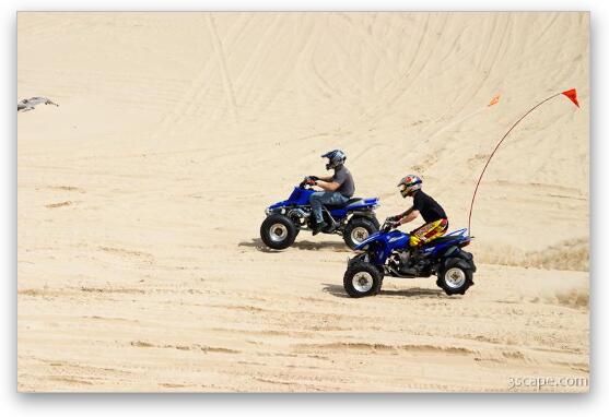 Quads riding in dunes Fine Art Metal Print