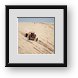 Buy Framed Print