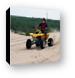Quad ATV riding in dunes Canvas Print