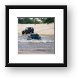 Jeeps can go anywhere! Framed Print