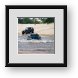 Buy Framed Print