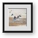 Buy Framed Print