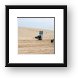 Quad ATV riding in dunes Framed Print