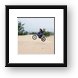 Motorbiking the dunes Framed Print