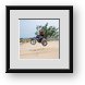 Buy Framed Print