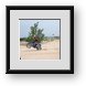 Buy Framed Print