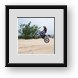 Buy Framed Print