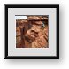 Buy Framed Print