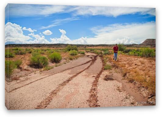 This patch of mud caused me some concern... Fine Art Canvas Print