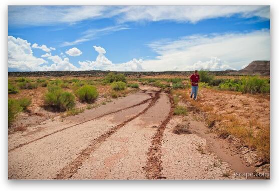 This patch of mud caused me some concern... Fine Art Metal Print