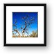 Dead desert tree Framed Print
