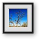 Buy Framed Print