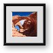Buy Framed Print