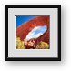 Buy Framed Print