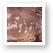 Ute Indian petroglyphs Art Print