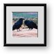 Buy Framed Print