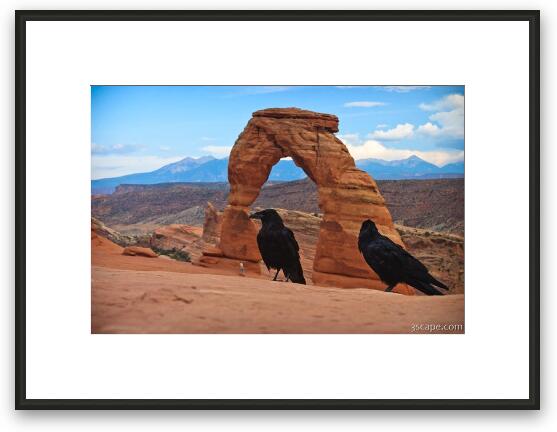 Ravens visiting Delicate Arch Framed Fine Art Print