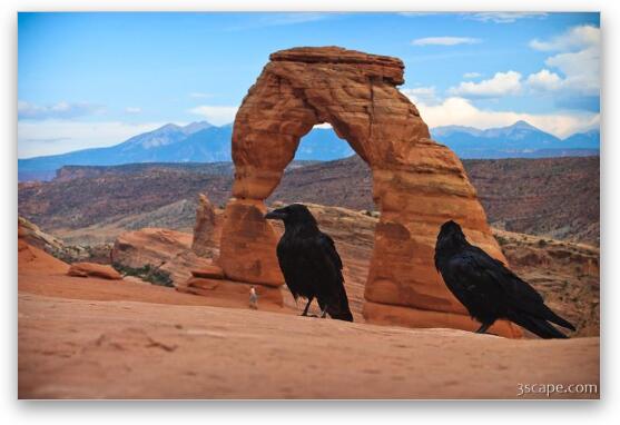 Ravens visiting Delicate Arch Fine Art Metal Print